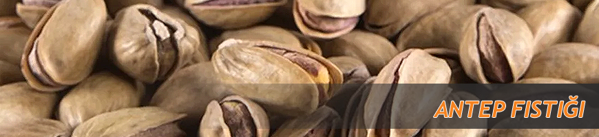 Antep Fıstığı Antep Fıstığı